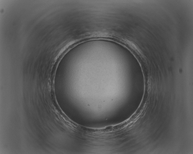 X0000066941212200603311408