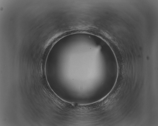 X0000066941214200603311408