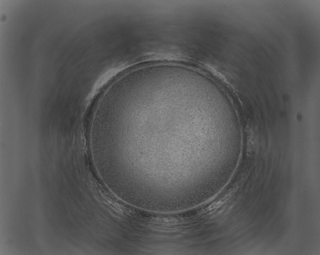 X0000066941215200603311408