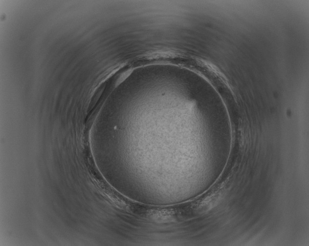 X0000066941217200603311409