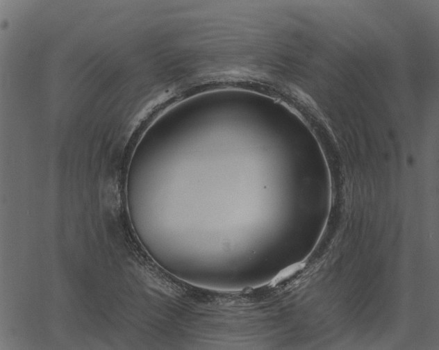 X0000066941218200603311409