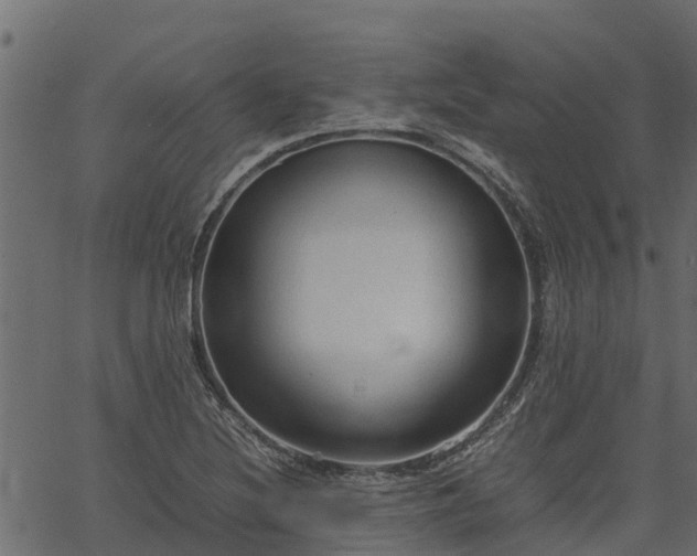 X0000066941220200603311409