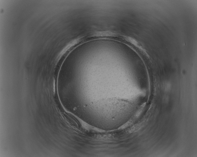 X0000066941221200603311409