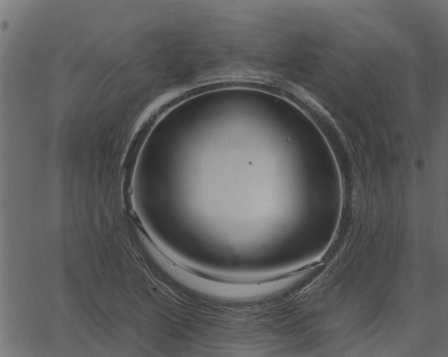 X0000066941222200603311409