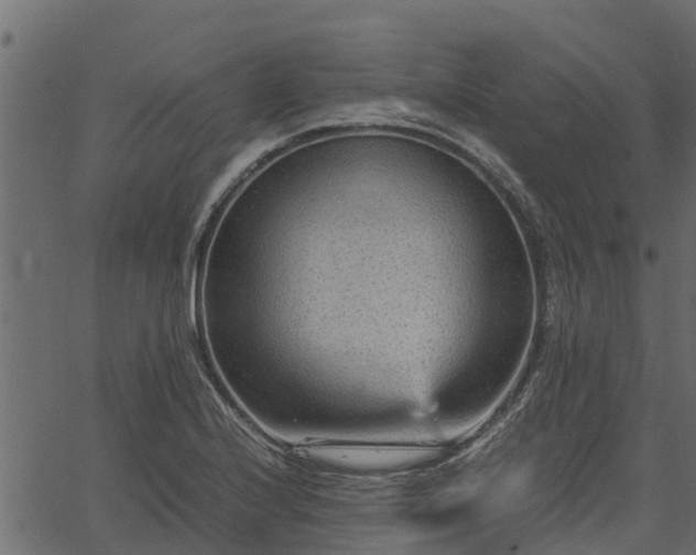 X0000066941224200603311409