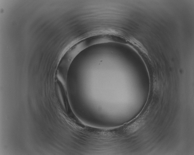 X0000066941226200603311409