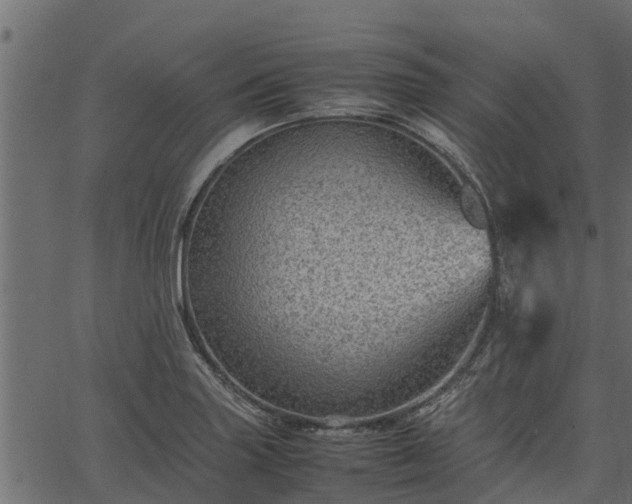 X0000066941227200603311409