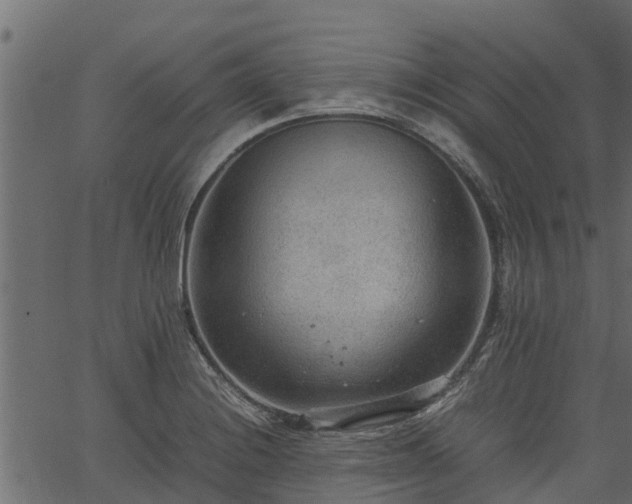 X0000066941228200603311409