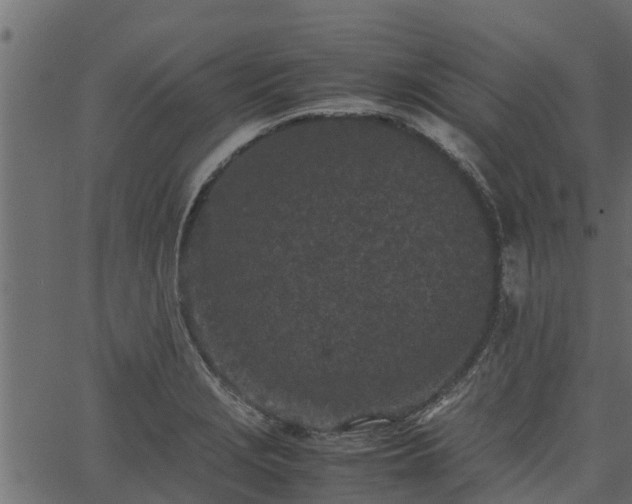 X0000066941229200603311409