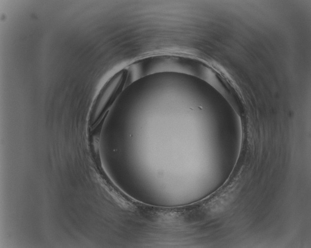 X0000066941230200603311409