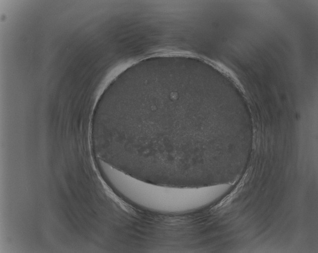 X0000066941231200603311409