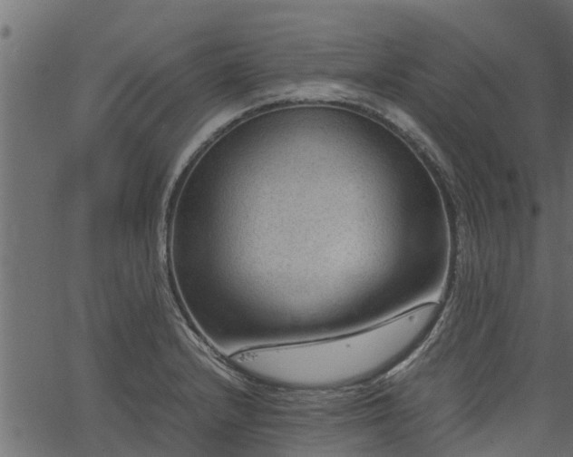 X0000066941232200603311409