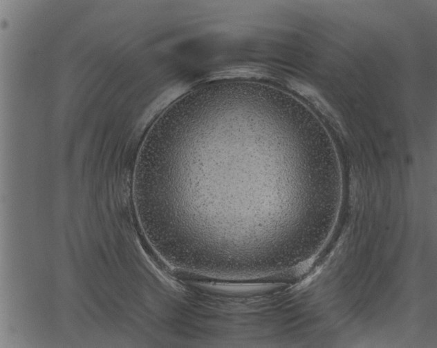 X0000066941233200603311409