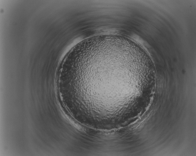 X0000066941235200603311409