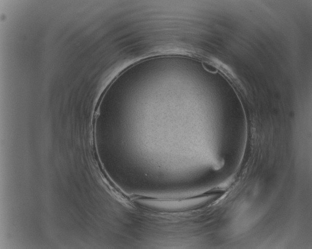 X0000066941236200603311409