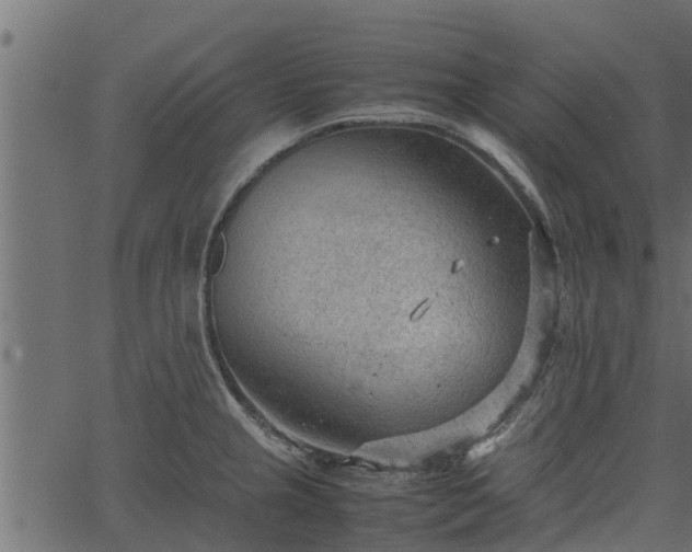 X0000066941237200603311409