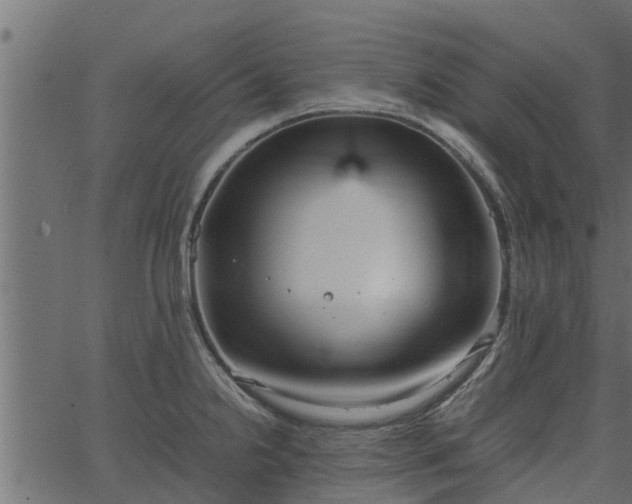 X0000066941238200603311409