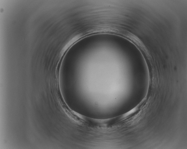 X0000066941242200603311409