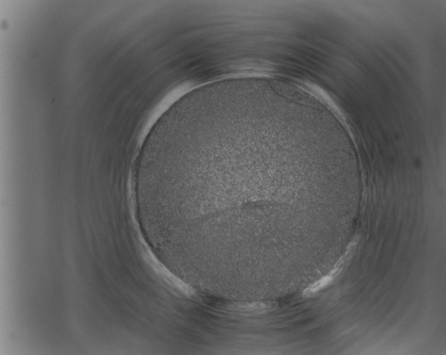 X0000066941243200603311409