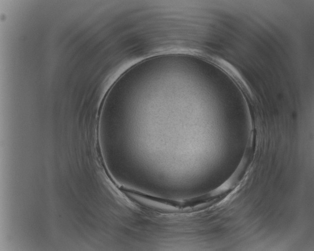 X0000066941244200603311409