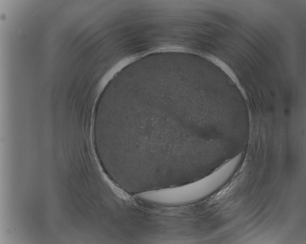 X0000066941245200603311409