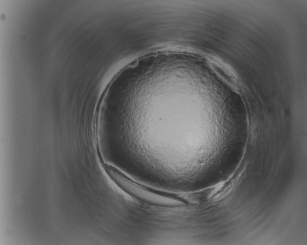 X0000066941247200603311409