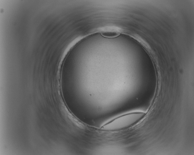 X0000066941248200603311409