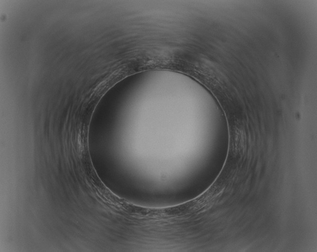 X0000066941250200603311408