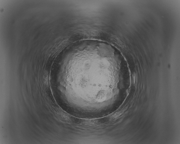 X0000066941251200603311408