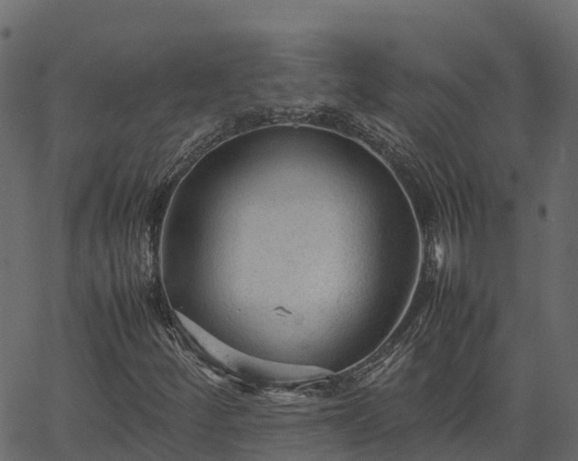 X0000066941252200603311408