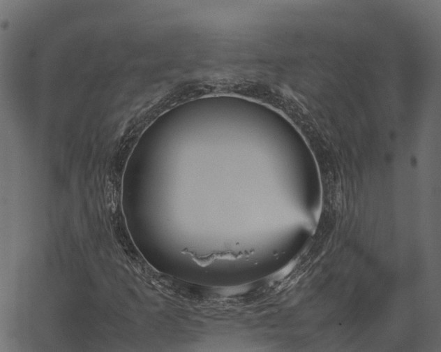 X0000066941253200603311408