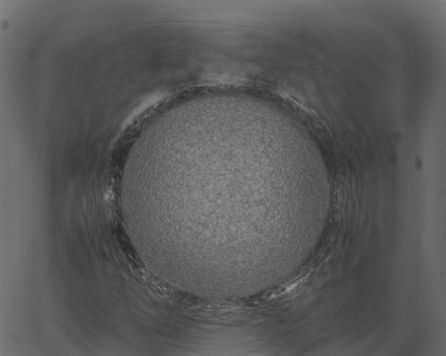 X0000066941254200603311408