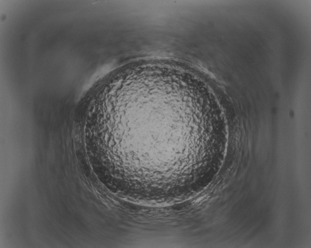 X0000066941255200603311408