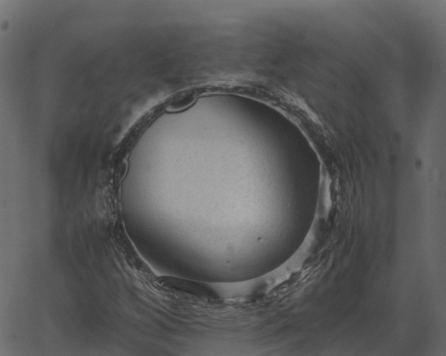 X0000066941256200603311408