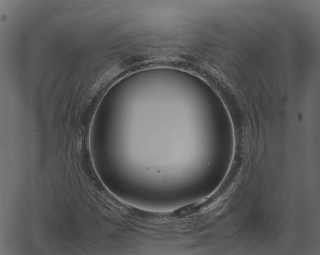 X0000066941257200603311408