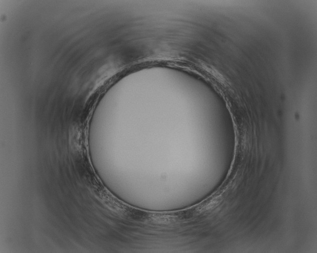 X0000066941258200603311408