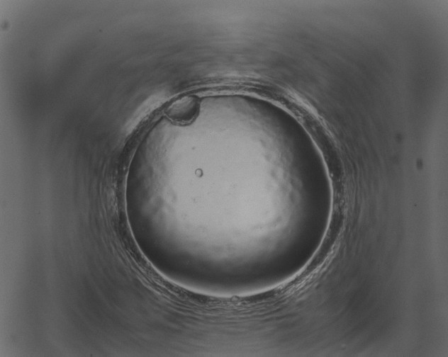 X0000066941259200603311408