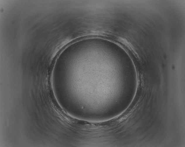 X0000066941260200603311408