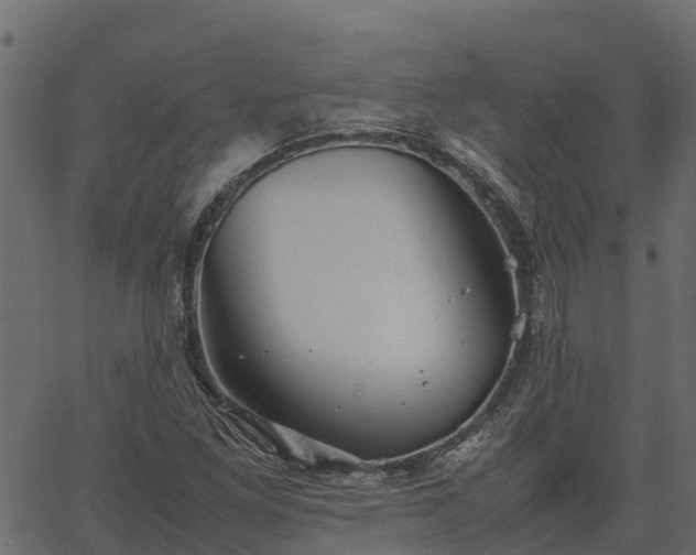 X0000066941261200603311408