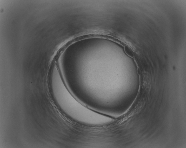 X0000066941264200603311408