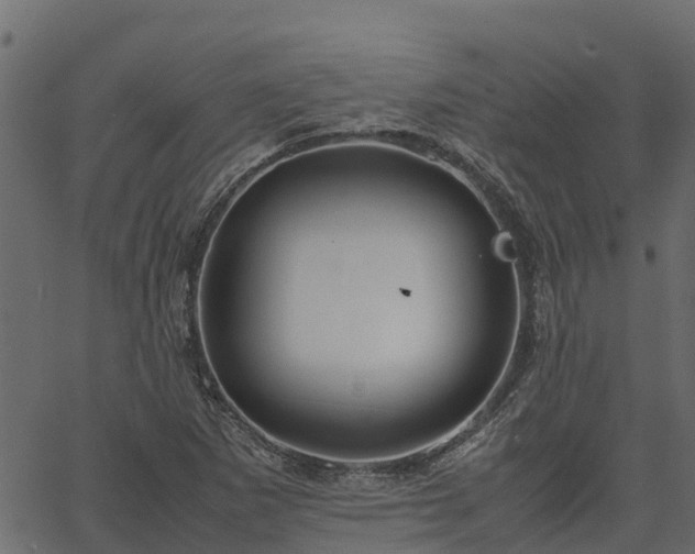 X0000066941265200603311408