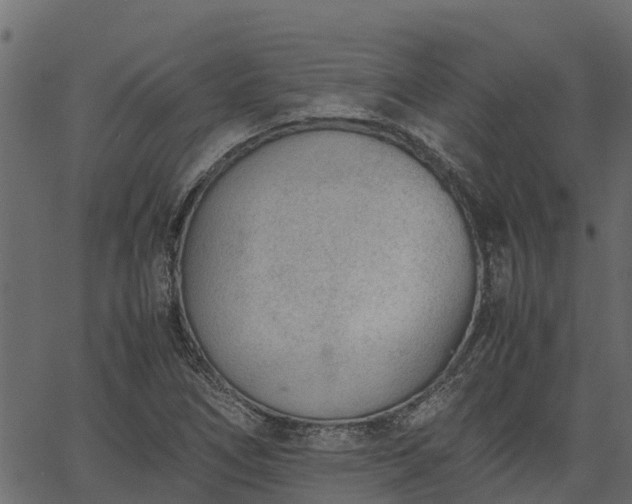 X0000066941266200603311408