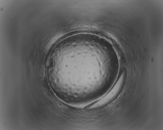 X0000066941267200603311408