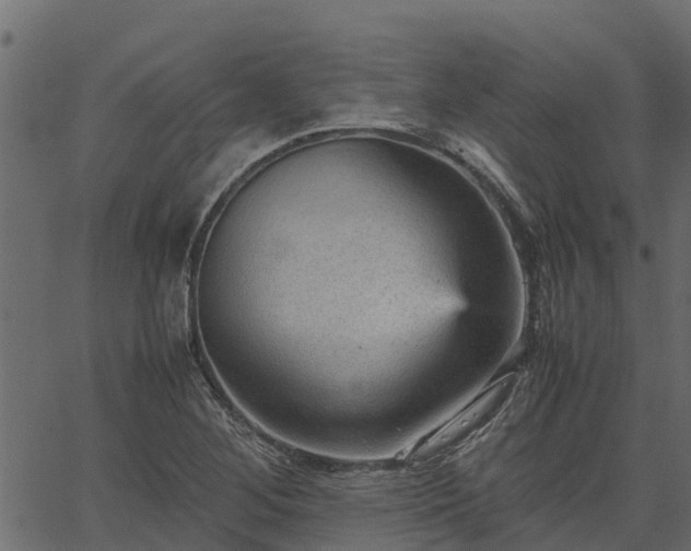 X0000066941268200603311408