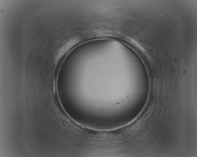 X0000066941269200603311408