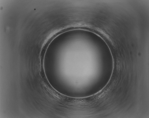 X0000066941270200603311408