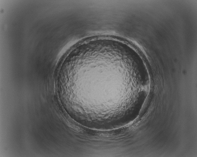 X0000066941271200603311408