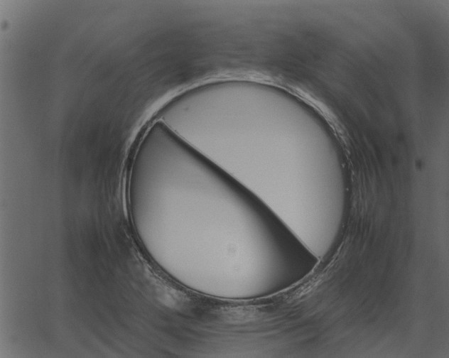 X0000066941272200603311408