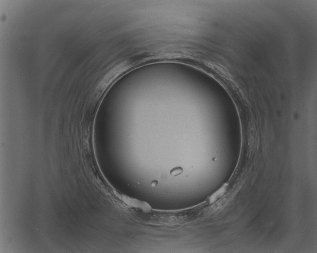 X0000066941273200603311408