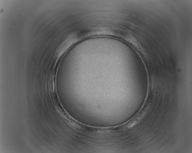 X0000066941274200603311408